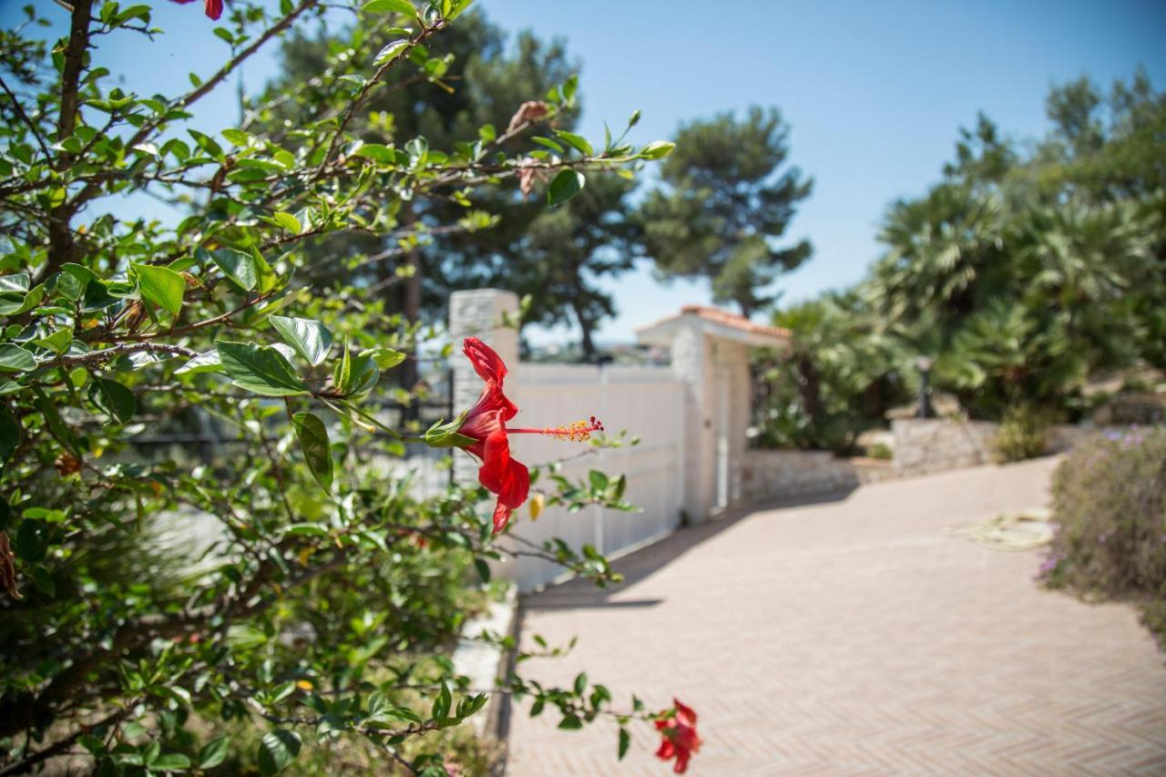 Maison Marie Βιέστε Εξωτερικό φωτογραφία
