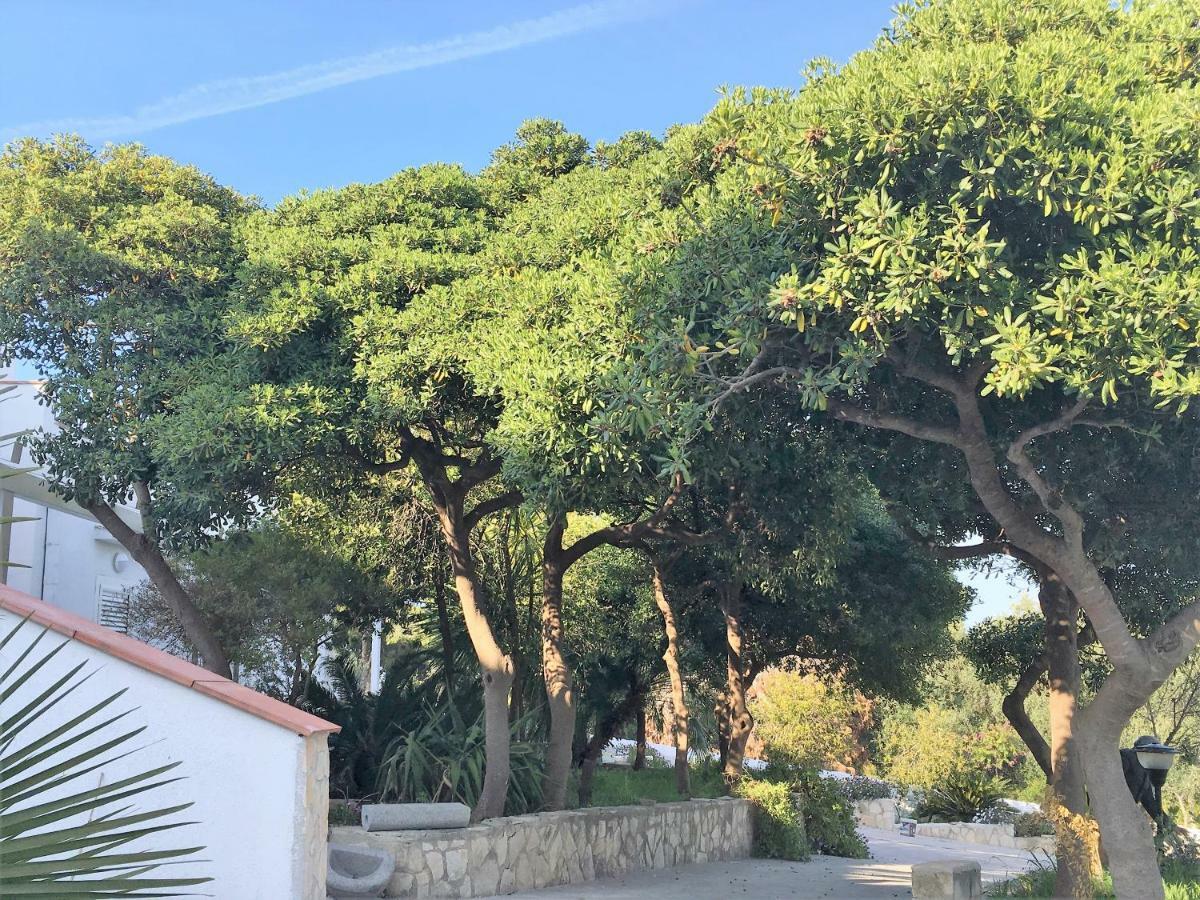 Maison Marie Βιέστε Εξωτερικό φωτογραφία