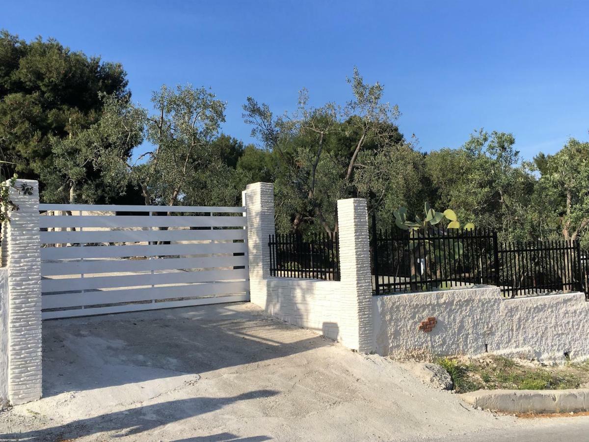 Maison Marie Βιέστε Εξωτερικό φωτογραφία